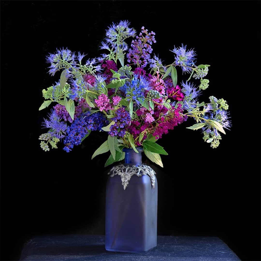 A bunch of blue and purple colored flowers